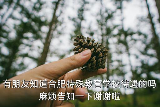 合肥特殊教育中心，想知道 合肥市 合肥盲人學校在什么地方 在哪