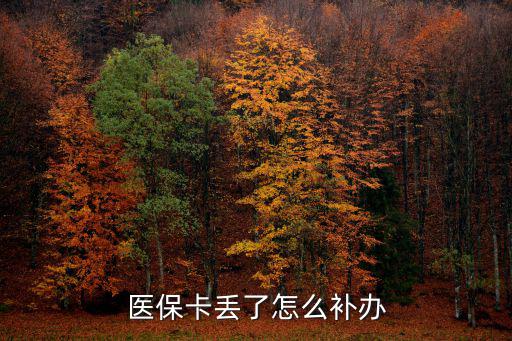 怎么補辦醫保卡，醫保卡丟失要怎么補辦