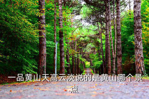  一品黃山天高云淡說(shuō)的是黃山哪個(gè)景點(diǎn)