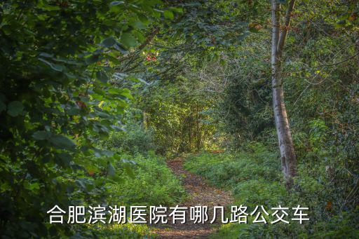 合肥市濱湖醫院，合肥濱湖醫院地址