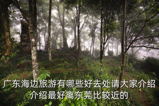 廣東海邊旅游，廣東的海濱小城有哪些景點(diǎn)可以去