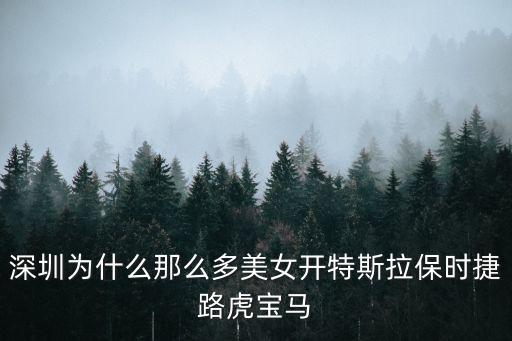 深圳寶馬，寶馬寶馬3系  深圳哪里有風(fēng)景比較好的公路沒事可以開車跑一跑的