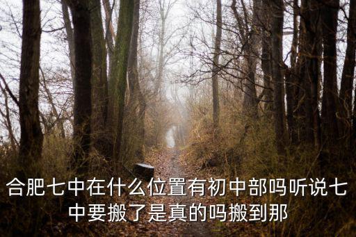 合肥七中在什么位置有初中部嗎聽(tīng)說(shuō)七中要搬了是真的嗎搬到那