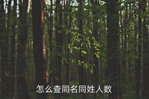 怎么查同名同姓人數(shù)