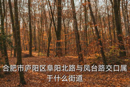 合肥市廬陽區(qū)阜陽北路與鳳臺路交口屬于什么街道