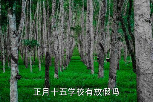正月十五學校有放假嗎