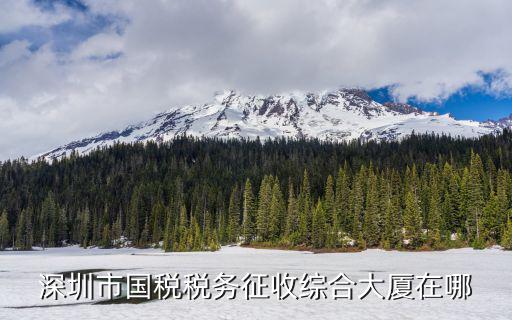 深圳市國稅稅務(wù)征收綜合大廈在哪