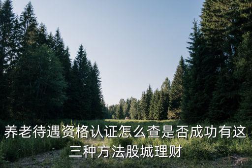 養(yǎng)老待遇資格認(rèn)證，養(yǎng)老待遇資格認(rèn)證怎么查是否成功有這三種方法股城理財(cái)