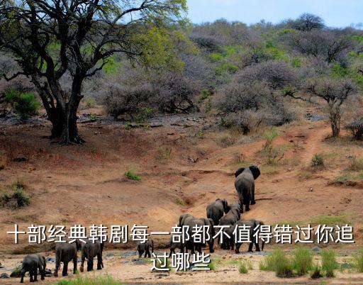 十部經(jīng)典韓劇每一部都不值得錯過你追過哪些