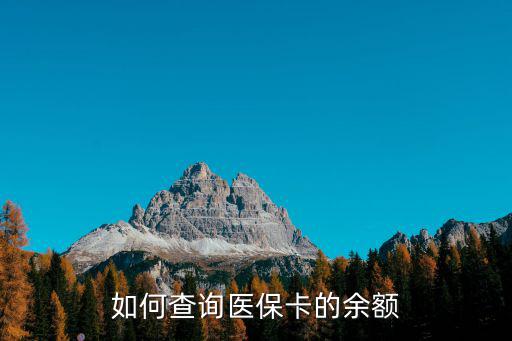 如何查詢(xún)醫(yī)保卡的余額