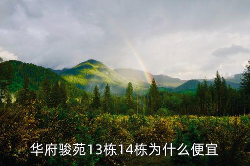 華府駿苑13棟14棟為什么便宜