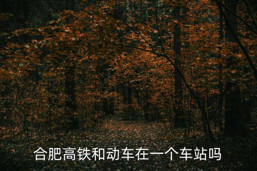 合肥高鐵站，合肥有幾個火車站動車是哪個站