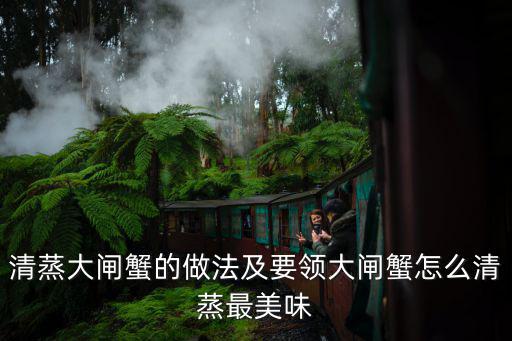 清蒸大閘蟹的做法及要領大閘蟹怎么清蒸最美味