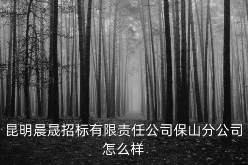 昆明晨晟招標(biāo)有限責(zé)任公司保山分公司怎么樣