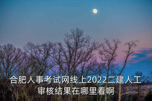 合肥人事考試網線上2022二建人工審核結果在哪里看啊