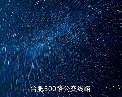 合肥300路公交線路