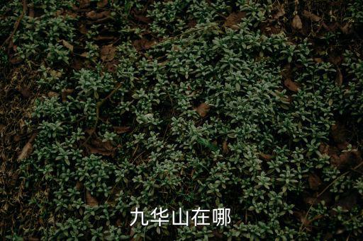 九華山在哪