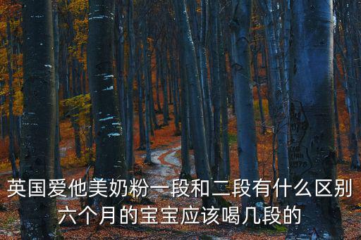 英國(guó)愛(ài)他美奶粉一段和二段有什么區(qū)別六個(gè)月的寶寶應(yīng)該喝幾段的