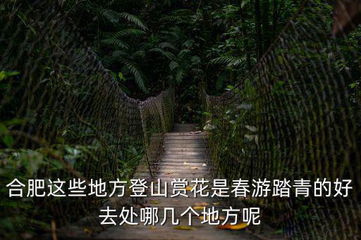 合肥這些地方登山賞花是春游踏青的好去處哪幾個地方呢