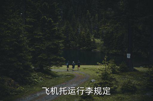 飛機(jī)托運(yùn)行李規(guī)定