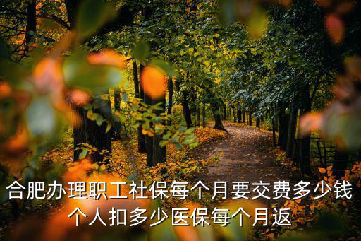 合肥辦理職工社保每個月要交費多少錢個人扣多少醫保每個月返