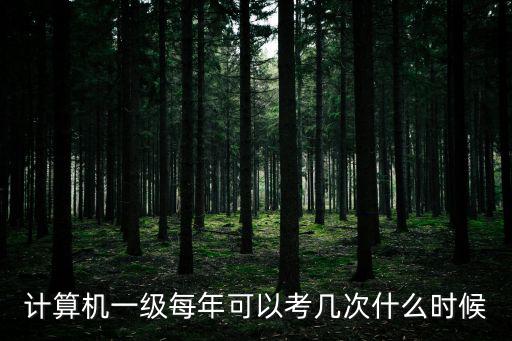 計(jì)算機(jī)一級(jí)每年可以考幾次什么時(shí)候