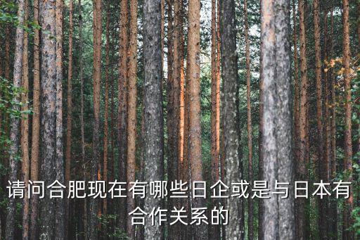請問合肥現在有哪些日企或是與日本有合作關系的
