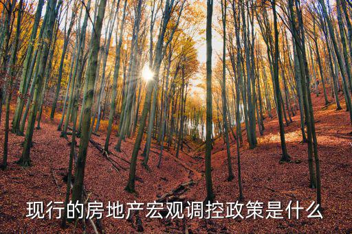 現行的房地產宏觀調控政策是什么