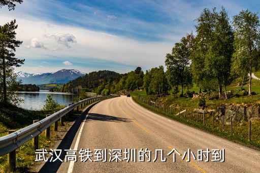 武漢高鐵到深圳的幾個小時到