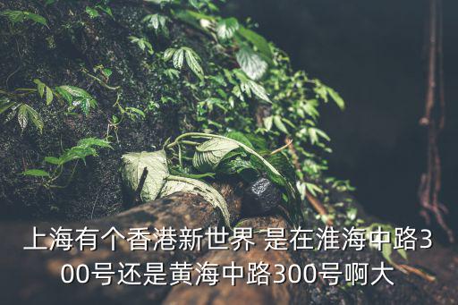 上海有個香港新世界 是在淮海中路300號還是黃海中路300號啊大