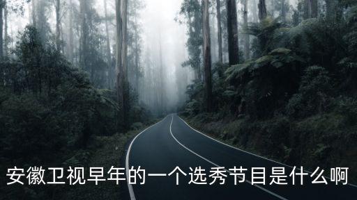 安徽衛(wèi)視早年的一個選秀節(jié)目是什么啊
