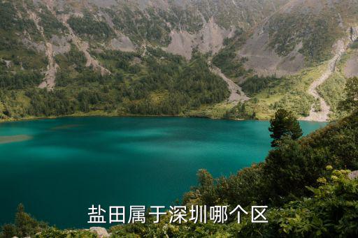 鹽田屬于深圳哪個區