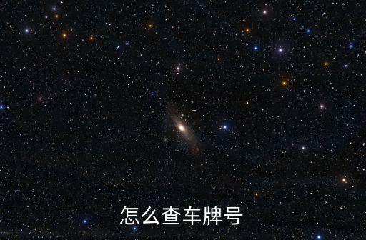 怎么查車牌號(hào)