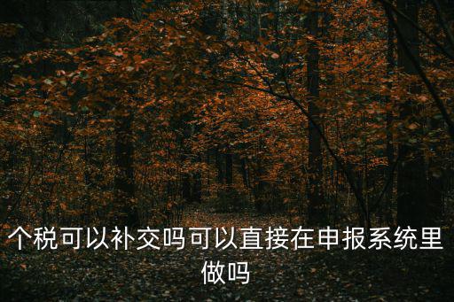 個(gè)稅可以補(bǔ)交嗎可以直接在申報(bào)系統(tǒng)里做嗎