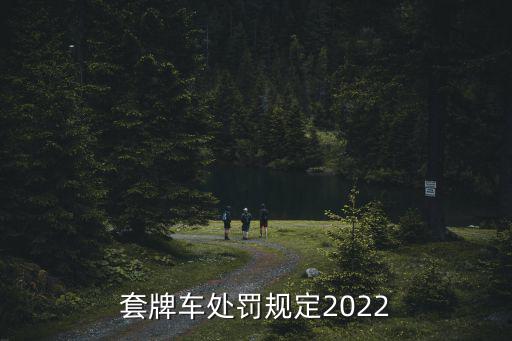 套牌車，套牌車的手續(xù)是真的還是假的