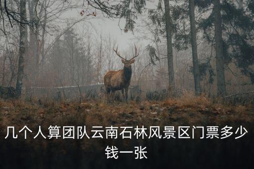 石林風景區門票，石林風景區門票含車費嗎