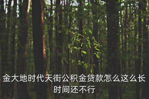 金大地時代天街公積金貸款怎么這么長時間還不行