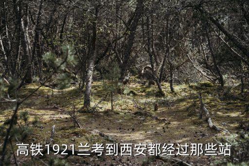 高鐵1921蘭考到西安都經過那些站