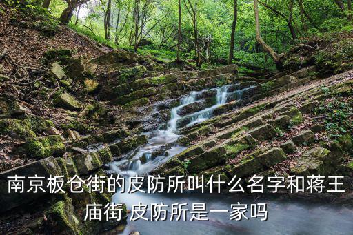 南京板倉街的皮防所叫什么名字和蔣王廟街 皮防所是一家嗎