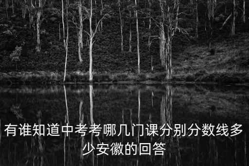 有誰知道中考考哪幾門課分別分數線多少安徽的回答
