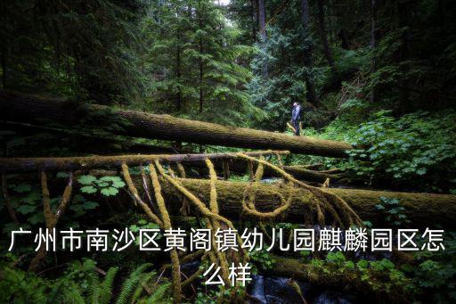 廣州市南沙區黃閣鎮幼兒園麒麟園區怎么樣
