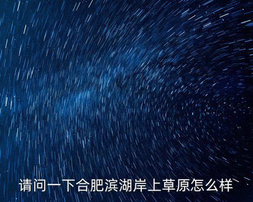 請問一下合肥濱湖岸上草原怎么樣