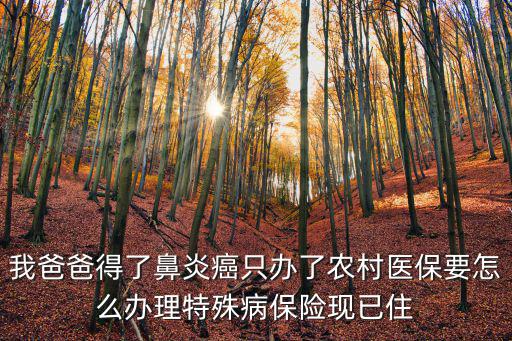 特病醫保怎么辦理流程，特病如何辦理須要些什么時候材料程序是怎么樣