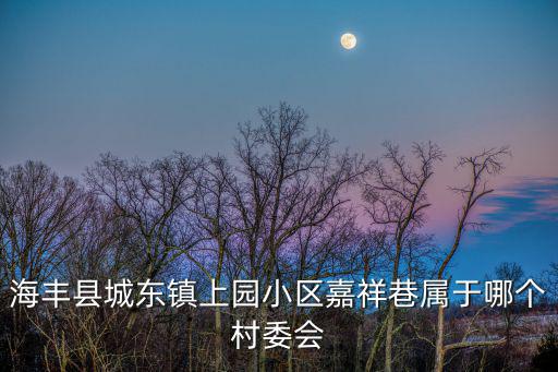 海豐縣城東鎮上園小區嘉祥巷屬于哪個村委會