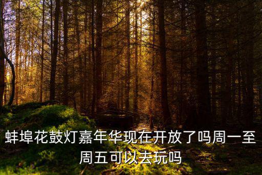 花鼓燈嘉年華，蚌埠花鼓燈嘉年華現(xiàn)在開(kāi)放了嗎周一至周五可以去玩嗎