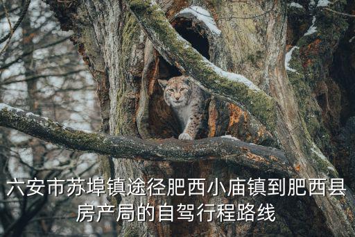 六安市蘇埠鎮途徑肥西小廟鎮到肥西縣房產局的自駕行程路線