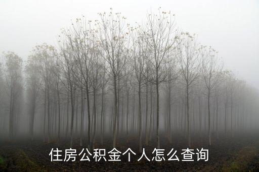 住房公積金個人怎么查詢