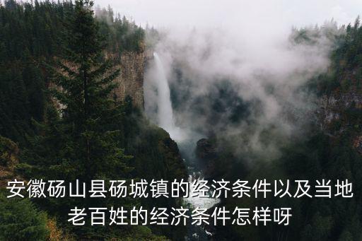 安徽碭山縣碭城鎮(zhèn)的經(jīng)濟(jì)條件以及當(dāng)?shù)乩习傩盏慕?jīng)濟(jì)條件怎樣呀