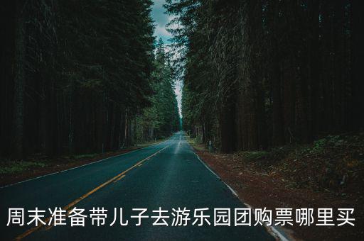 游樂園團購，周末準(zhǔn)備帶兒子去游樂園團購票哪里買