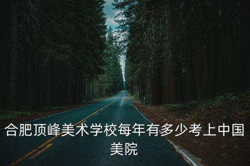 合肥頂峰美術(shù)學(xué)校每年有多少考上中國(guó)美院